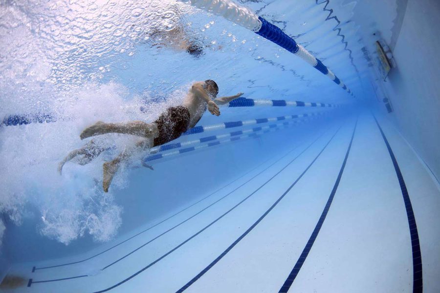 Limpieza de accesorios en piscinas - El Gato Limpieza